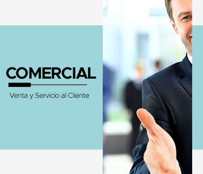 13. Venta y Servicio